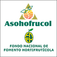 Asohofrucol